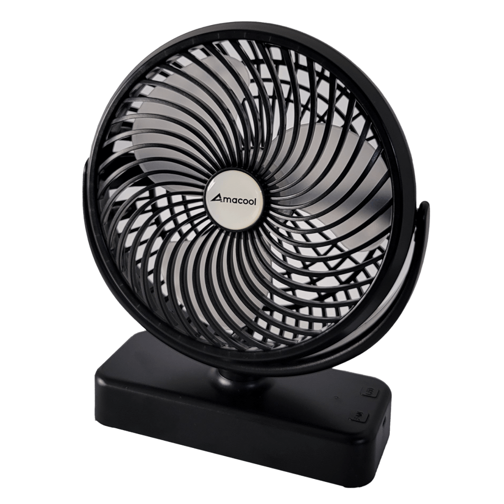 Fan